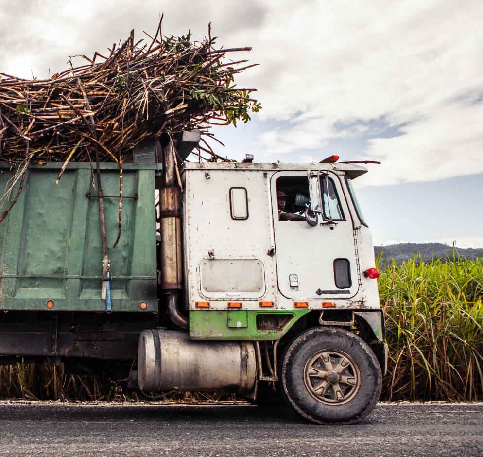 cane truck