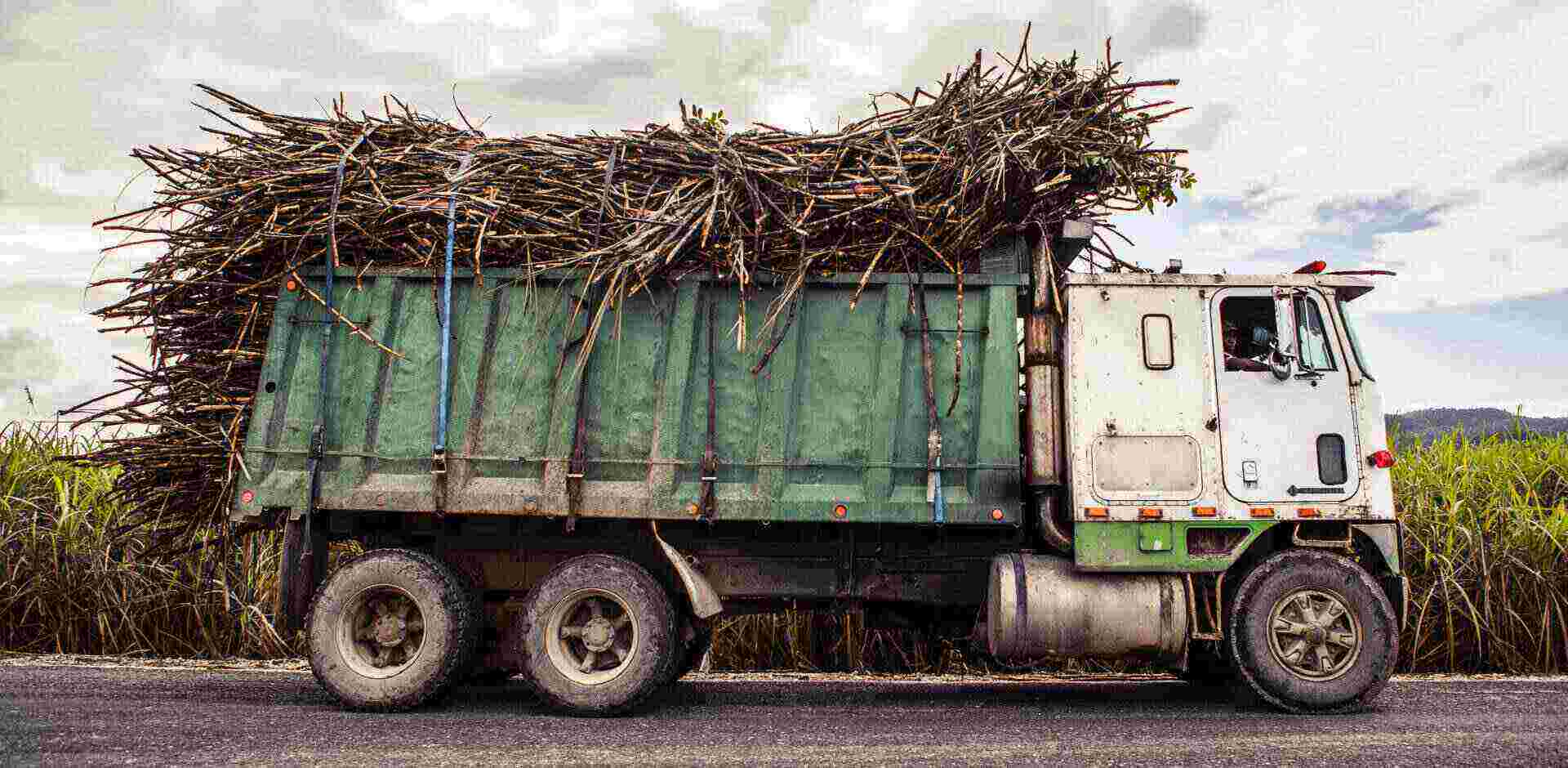 cane truck